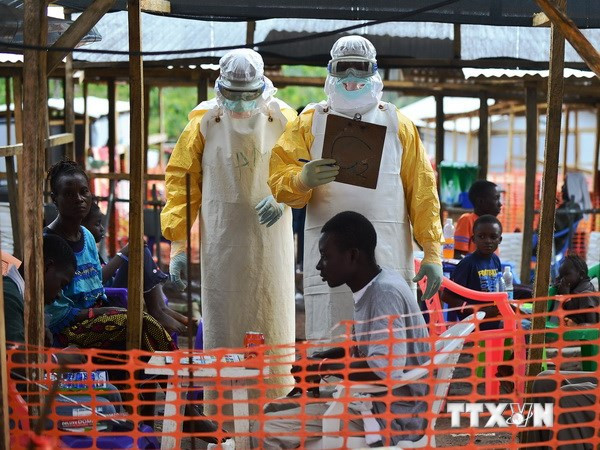 Nhân viên y tế Tổ chức Bác sỹ không biên giới điều trị cho các bệnh nhân nhiễm virus Ebola tại Kailahun, Sierra Leone. (Ảnh: AFP/TTXVN) Chuyên gia y tế kêu gọi châu Âu hỗ trợ Tây Phi dập dịch Ebola ảnh 1