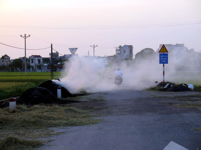 6 tháng đầu năm: Xử phạt vi phạm tài nguyên, môi trường 38 tỷ đồng ảnh 1
