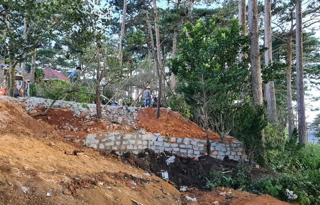 Lâm Đồng: Xử phạt 3 kẻ chiếm đất rừng trong VQG Bidoup-Núi Bà ảnh 1