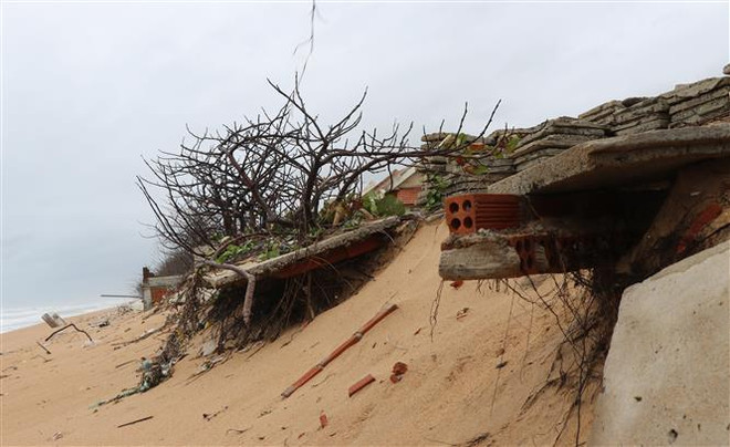 Sẽ có 3 đợt triều cường ven biển Nam Bộ trong tháng 2 và tháng 3 ảnh 1