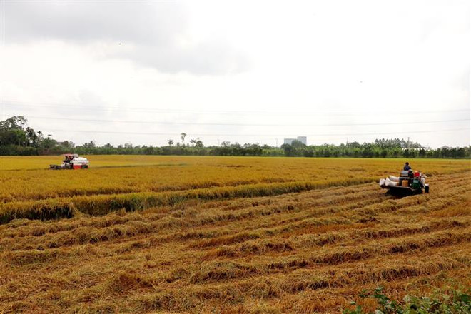 Không khí lạnh có thể sẽ ảnh hưởng đến Bắc Bộ từ ngày 24/2 ảnh 1