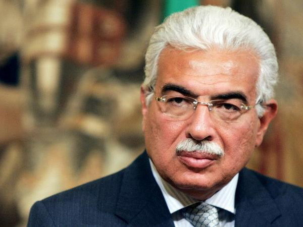 Tòa án Ai Cập tuyên trắng án đối với thủ tướng dưới thời Mubarak ảnh 1