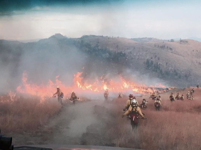 Mỹ: Ba lính cứu hỏa thiệt mạng do cháy rừng ở bang Washington ảnh 1