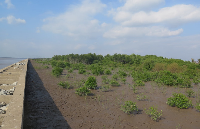 EU và Pháp hỗ trợ 20 triệu euro giúp Việt Nam hướng tới tương lai xanh ảnh 1