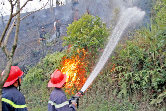 Rừng phòng hộ ở Điện Biên bốc cháy dữ dội trong gần 3 ngày ảnh 1