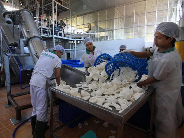 Cơ hội và thách thức đối với doanh nghiệp vừa và nhỏ ĐBSCL ảnh 1