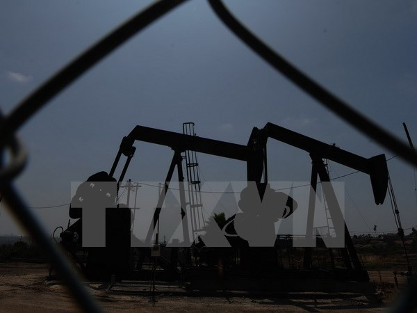 Giá dầu tăng mạnh trước báo cáo dự trữ năng lượng của Mỹ ảnh 1