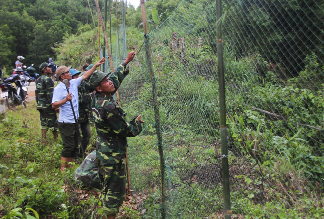 Quảng Trị xử lý vụ đàn voọc gáy trắng cắn 9 người bị thương ảnh 1