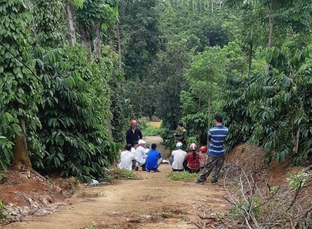 Đắk Nông: Điều tra vụ việc 3 người trong một gia đình tử vong ảnh 1