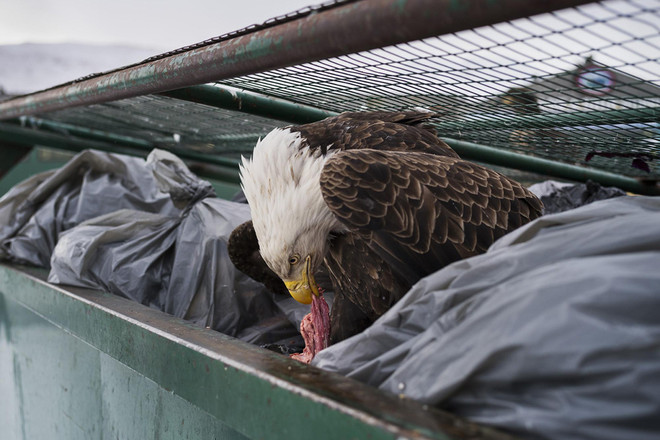 Trưng bày 130 tác phẩm xuất sắc cuộc thi ảnh báo chí thế giới ở Hà Nội ảnh 3