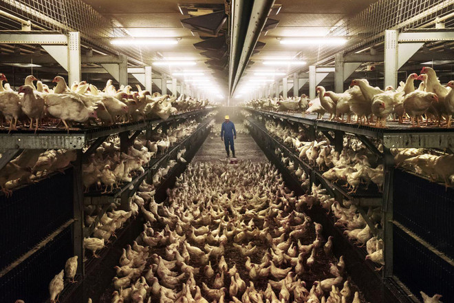 Trưng bày 130 tác phẩm xuất sắc cuộc thi ảnh báo chí thế giới ở Hà Nội ảnh 4