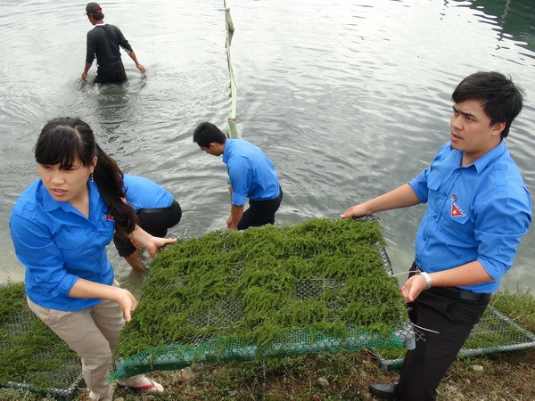 Đà Nẵng và tỉnh Salavan của Lào tăng hợp tác công tác thanh niên ảnh 1