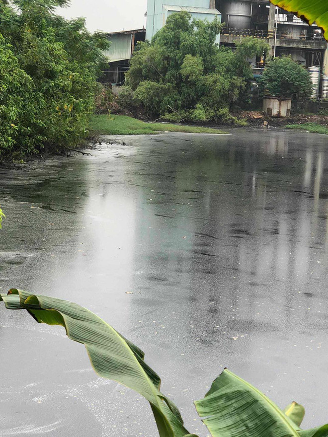 Vĩnh Phúc: Người dân chặn cổng của công ty gạch ốp lát gây ô nhiễm ảnh 2