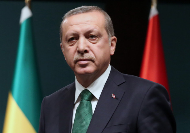 Tổng thống Thổ Nhĩ Kỳ kêu gọi thành lập chính phủ liên minh ảnh 1