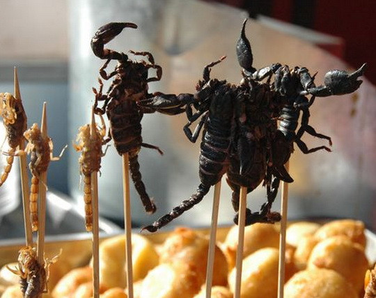 Cận cảnh 10 món ăn, đồ uống “khủng khiếp” nhất ở Trung Quốc ảnh 2