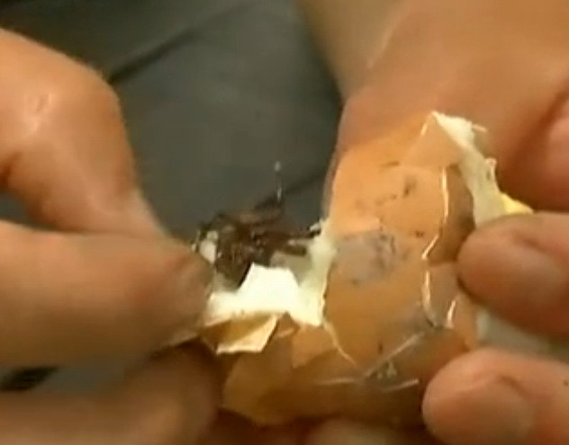 Cận cảnh 10 món ăn, đồ uống “khủng khiếp” nhất ở Trung Quốc ảnh 8