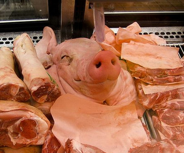 Cận cảnh 10 món ăn, đồ uống “khủng khiếp” nhất ở Trung Quốc ảnh 3