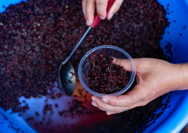 Hà Nội: Giá một số loại thực phẩm tăng nhẹ trước ngày Tết Đoan Ngọ ảnh 5