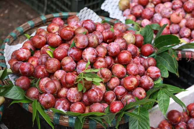 Hà Nội: Giá một số loại thực phẩm tăng nhẹ trước ngày Tết Đoan Ngọ ảnh 2