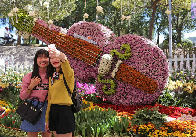 Lần đầu tiên tổ chức Tuần Văn hóa trà Lâm Đồng ở Festival Hoa Đà Lạt ảnh 1