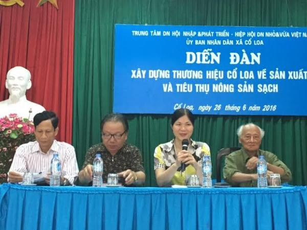 Chi bộ chung sức xây dựng thương hiệu “rau an toàn” ở Cổ Loa ảnh 2