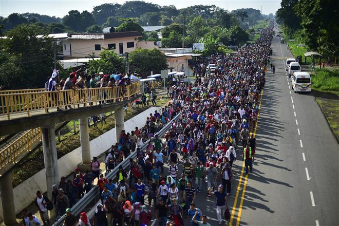 Mỹ cắt giảm viện trợ cho Guatemala, Honduras và El Salvador ảnh 1