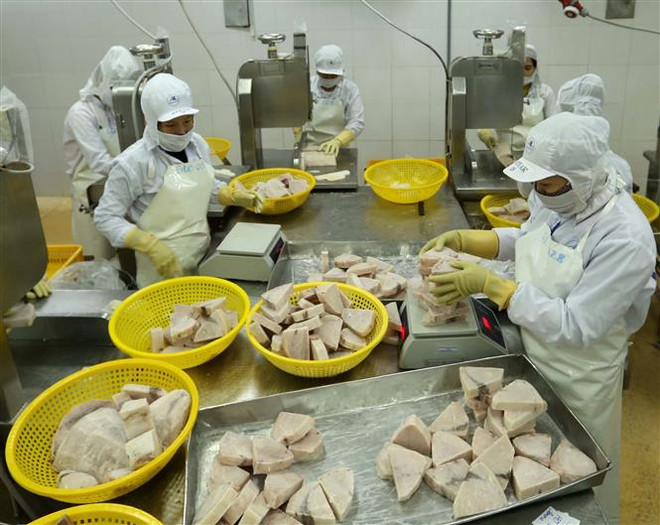 Giá trị xuất khẩu thủy sản 10 tháng ước đạt 7,24 tỷ USD ảnh 1