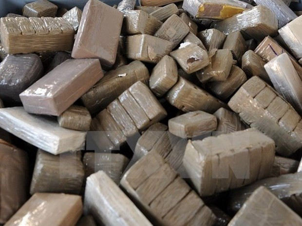 Lực lượng cảnh sát quốc gia Ecuador thu giữ gần 4 tấn cocaine ảnh 1