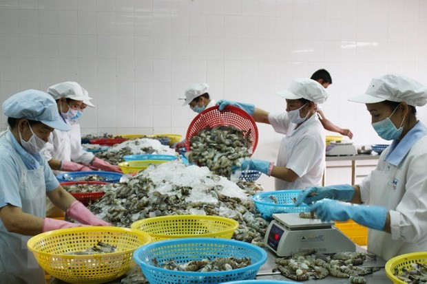 EU ban hành ngưỡng dư lượng thủy ngân mới trong thủy sản và muối ảnh 1