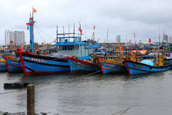 Quảng Ngãi kêu gọi tàu thuyền vào nơi trú ẩn, chủ động ứng phó mưa bão ảnh 1