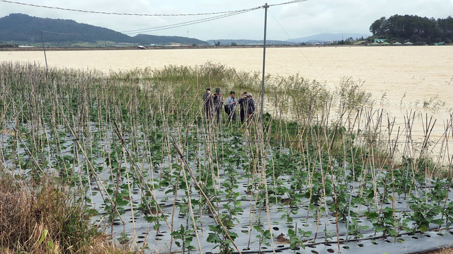 Lâm Đồng: Hủy hoại mốc giới, xây dựng không phép ven hồ Próh ảnh 1