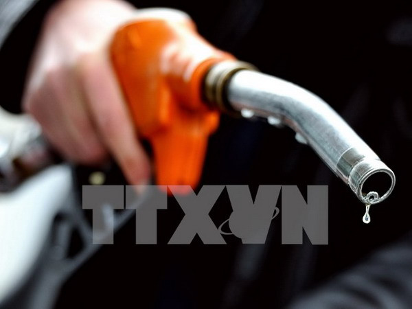 Ảnh minh họa. (Nguồn: AFP/TTXVN) Giá dầu thô phá “đáy” trong 5 năm sau dự báo của IEA và OPEC ảnh 1