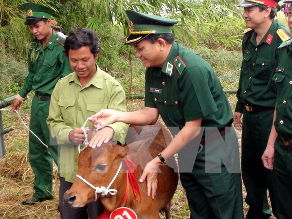 Viettel tặng gần 3.000 con bò giống cho hộ nghèo tỉnh Sơn La ảnh 1