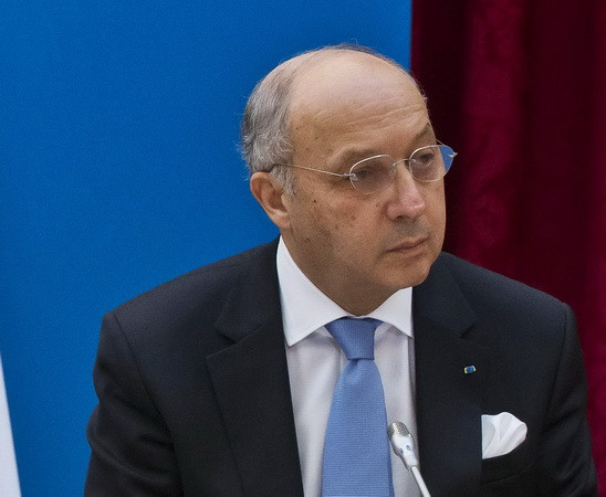 Ngoại trưởng Syria hoan nghênh tuyên bố của Pháp về chống IS ảnh 1