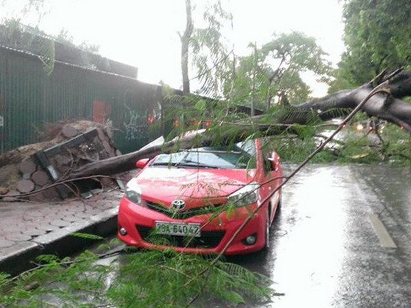 Những sự kiện trong nước nổi bật trong tuần từ ngày 8-14/4 ảnh 1