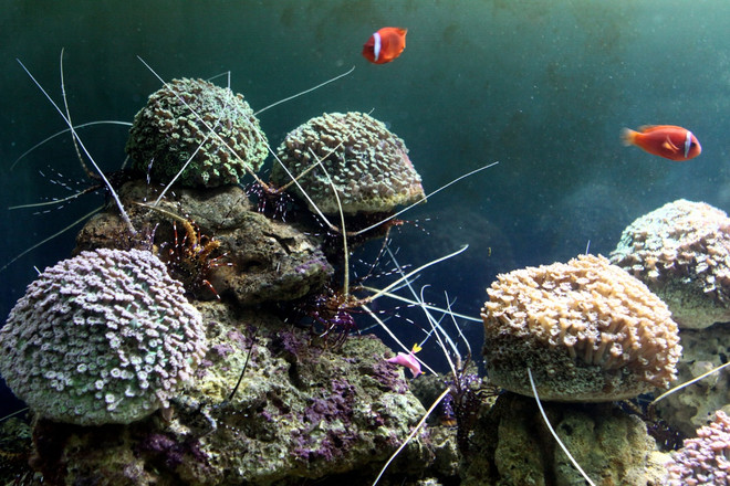 "Nếu Quốc hội chưa thấy yên tâm về Luật thì đừng bỏ phiếu vội vàng" ảnh 1