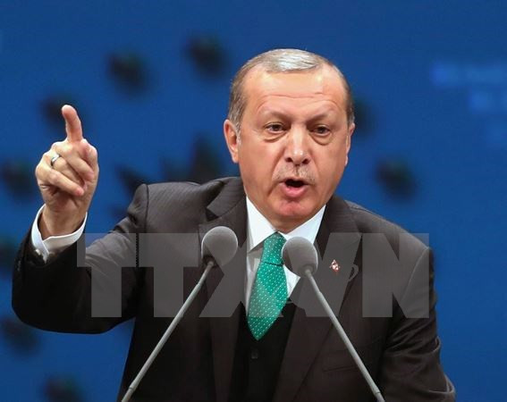 Lãnh đạo EU muốn gặp Tổng thống Thổ Nhĩ Kỳ tại hội nghị NATO ảnh 1