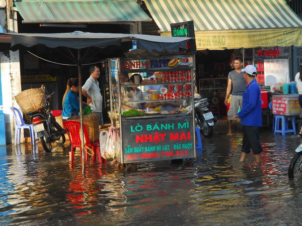 TP.HCM cần hạn chế công trình cao tầng tại "túi chứa nước" phía Nam ảnh 1