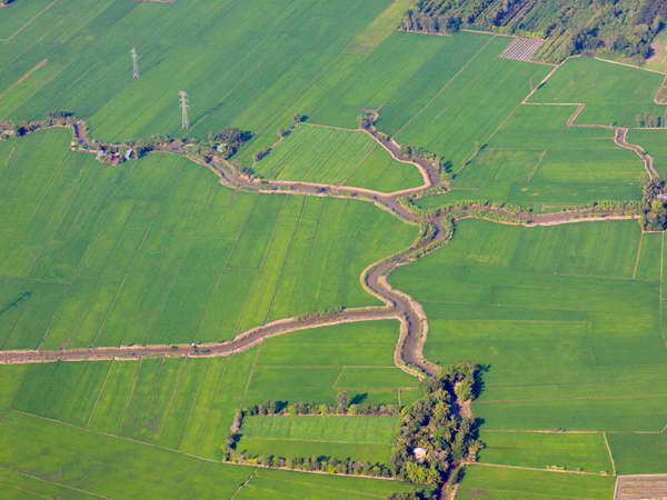 Tạo liên kết khai thác tiềm năng thế mạnh vùng ĐBSCL ảnh 1