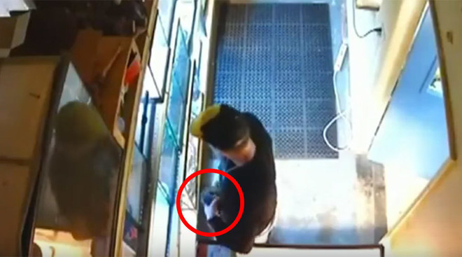 Kẻ trộm liều lĩnh ăn cắp con trăn quý hiếm rồi nhét vào trong quần ảnh 1