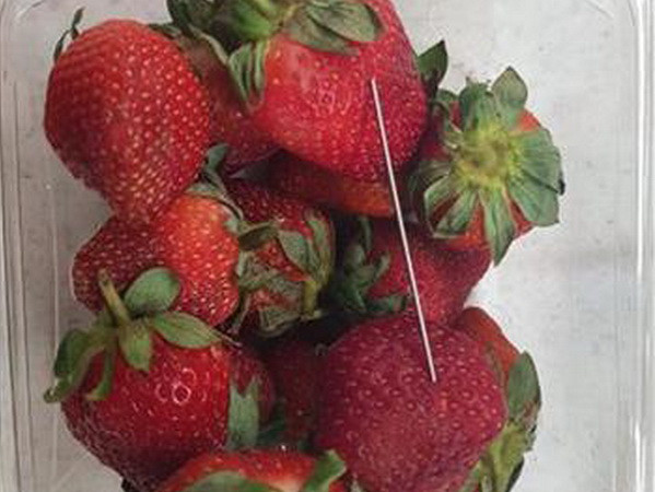 Chuyện lạ có thật ở Australia: Những trái dâu có 'hột' là kim khâu ảnh 1