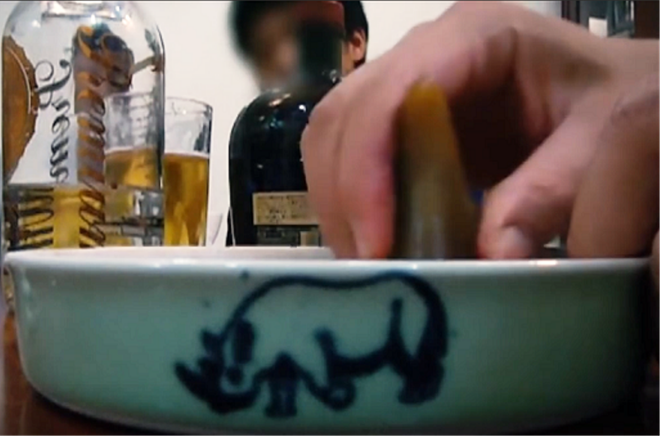 10 khuyến nghị nhằm ngăn chặn động vật hoang dã tuyệt chủng ảnh 6