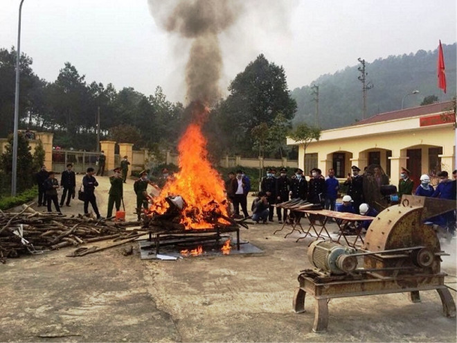 10 khuyến nghị nhằm ngăn chặn động vật hoang dã tuyệt chủng ảnh 3