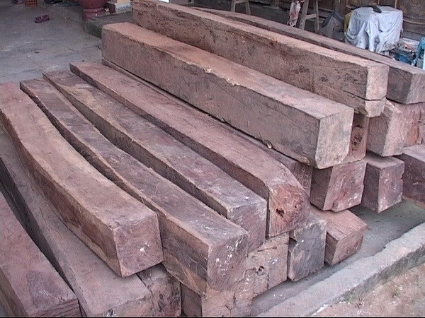 Quảng Nam: Xử lý nghiêm đối tượng vận chuyển lâm sản trái phép ảnh 1