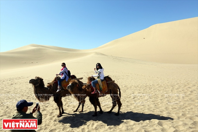 Cưỡi lạc đà giữa gió cát sa mạc Gobi - Trải nghiệm đáng nhớ ảnh 7