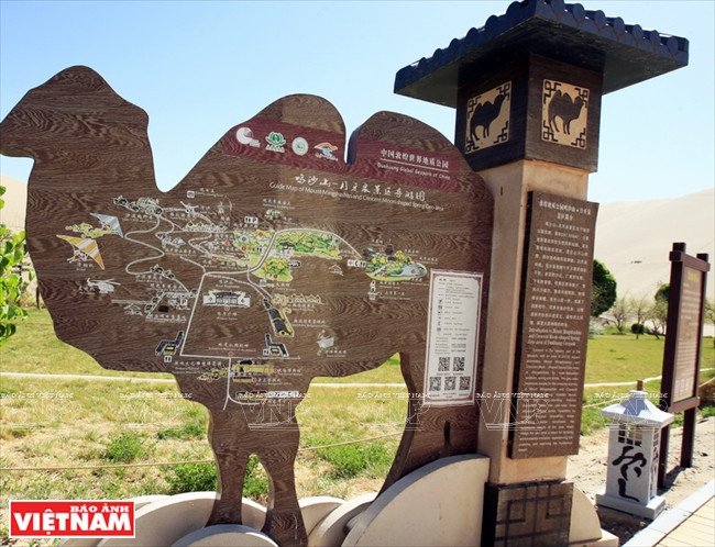 Cưỡi lạc đà giữa gió cát sa mạc Gobi - Trải nghiệm đáng nhớ ảnh 3