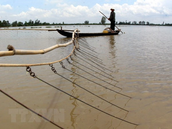 Đỉnh lũ tại Đồng bằng sông Cửu Long đạt mức báo động 3 vào tháng 10 ảnh 1