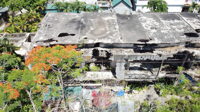 Khát vọng hòa bình trên vùng đất "thiêng": Tôn vinh giá trị hòa bình ảnh 1