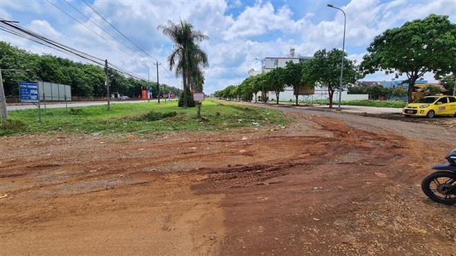 Đồng Nai tạo quỹ đất nhằm thu hút đầu tư nước ngoài ảnh 1