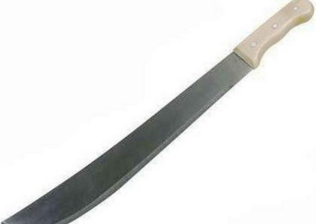 Tấn công bằng dao đẫm máu tại Mozambique, 5 người thiệt mạng ảnh 1